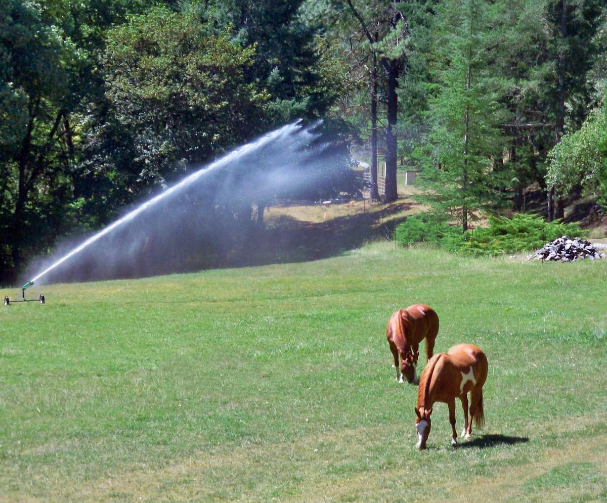 Portable Irrigation for Horse & Other Pastures