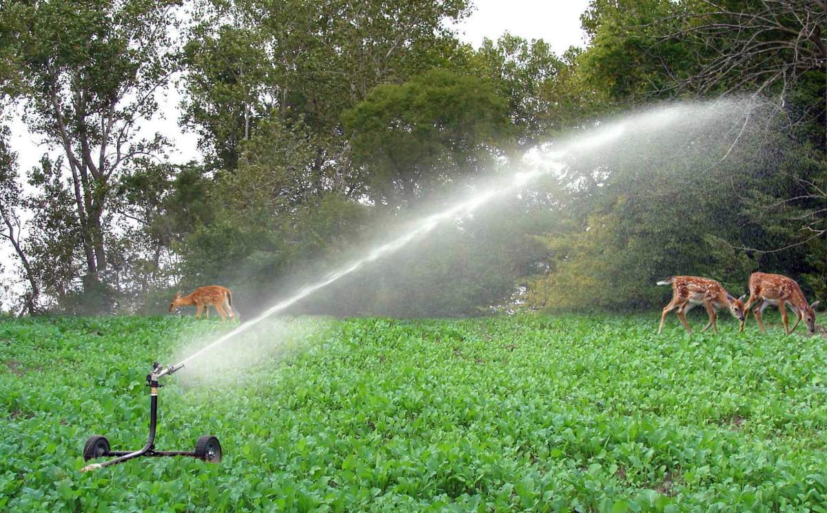 Irrigation Systems for Deer and Wildlife Plots