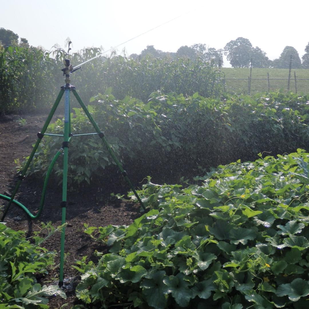 Telescoping Tripod with 3/4"- R3S Impulse Sprinkler (Part or Full Circle)