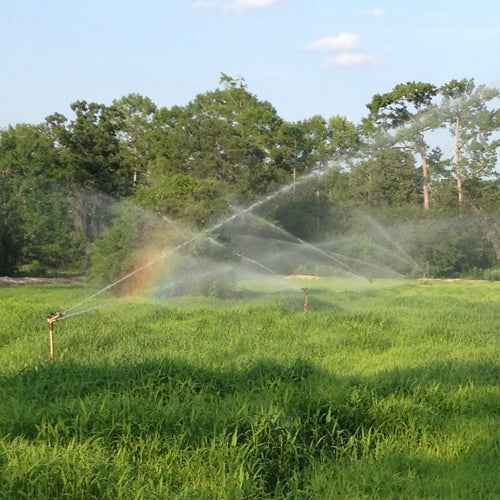 Ibis 1" Sprinkler - DEMO