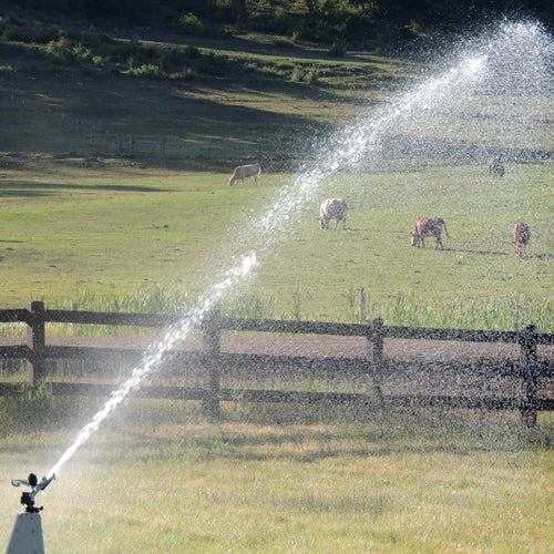 K1 1.25" Sprinkler