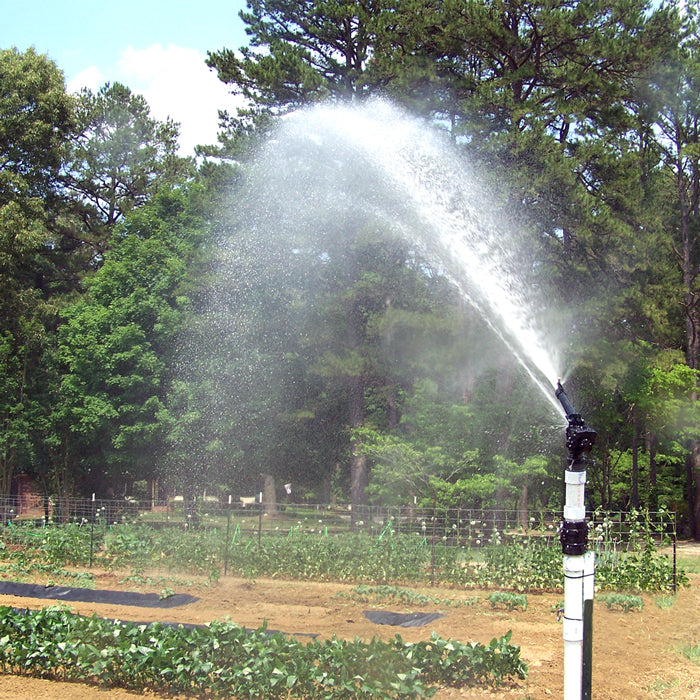 Luxor Sprinkler