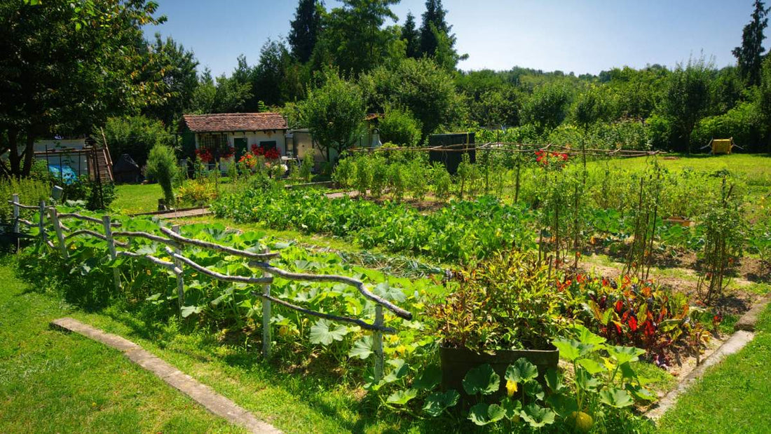 Setting Garden Goals for a New Year - Big Sprinkler