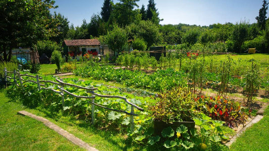 Setting Garden Goals for a New Year - Big Sprinkler