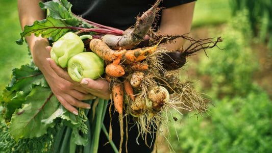 What to Plant and When to Plant It - Big Sprinkler