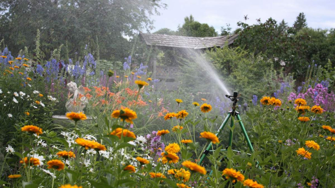 Which Sprinkler is Right for Me? - Big Sprinkler