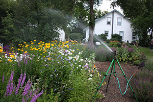 Which Kind of Sprinkler Should I Use at Home?