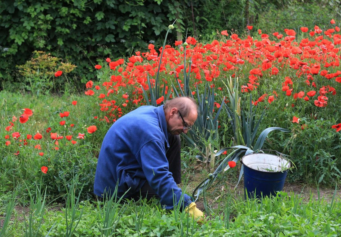 15 Things You Must Do To Prepare And Maintain Your Lawn & Garden - Big Sprinkler