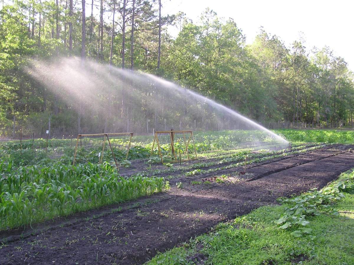 garden spray irrigation systems 1500H Complete Lawn Irrigation Kit with High Pressure Pump – Big Sprinkler