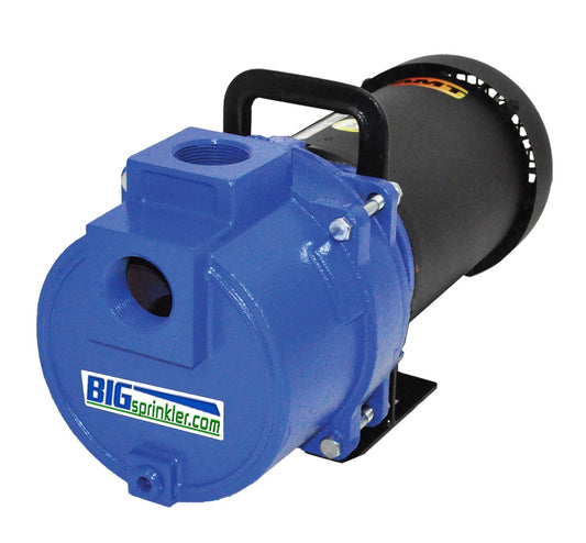 3 HP Two-Stage Self-Priming Sprinkler/Booster Pumps