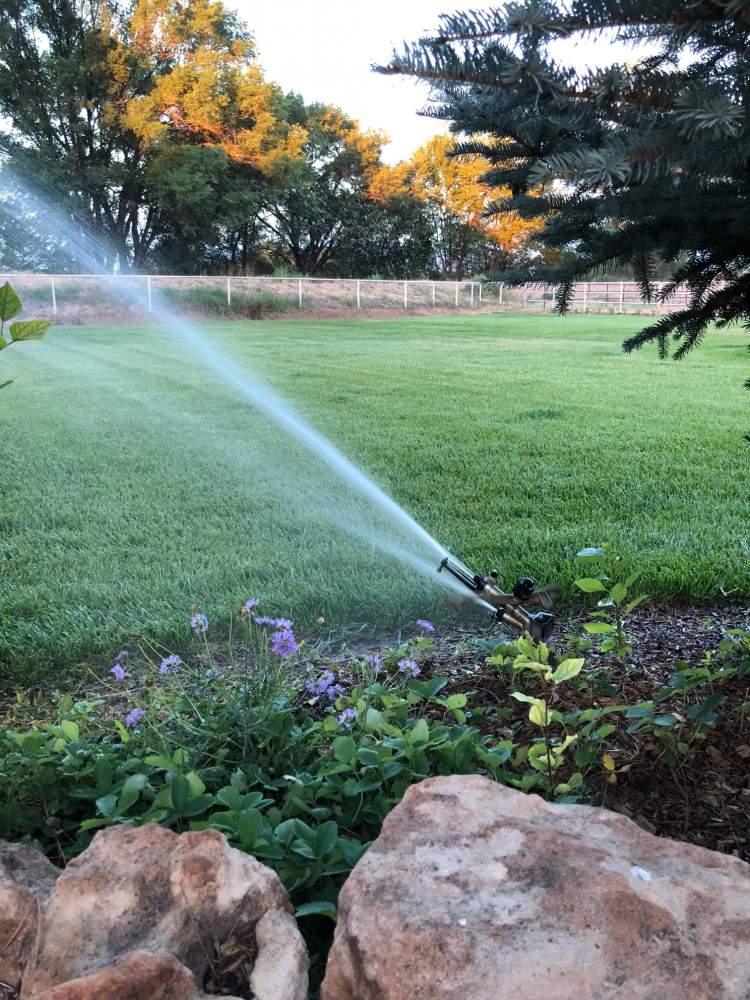 Hidra 1.5" Sprinkler